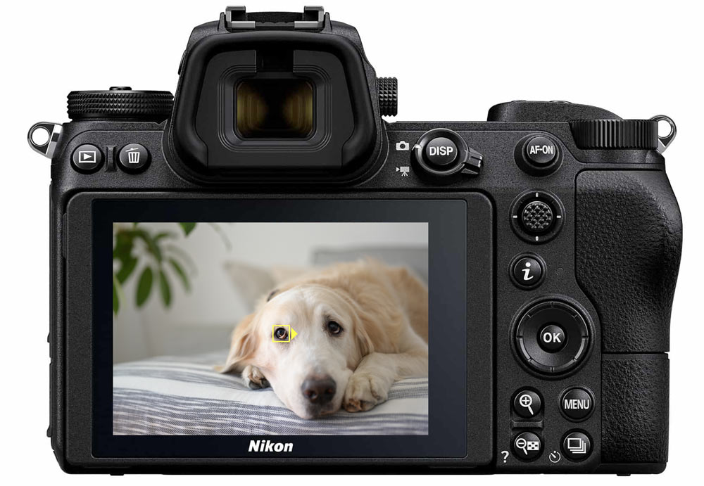 Enfoque al ojo en la cámara fotográfica mirrorless Nikon z7