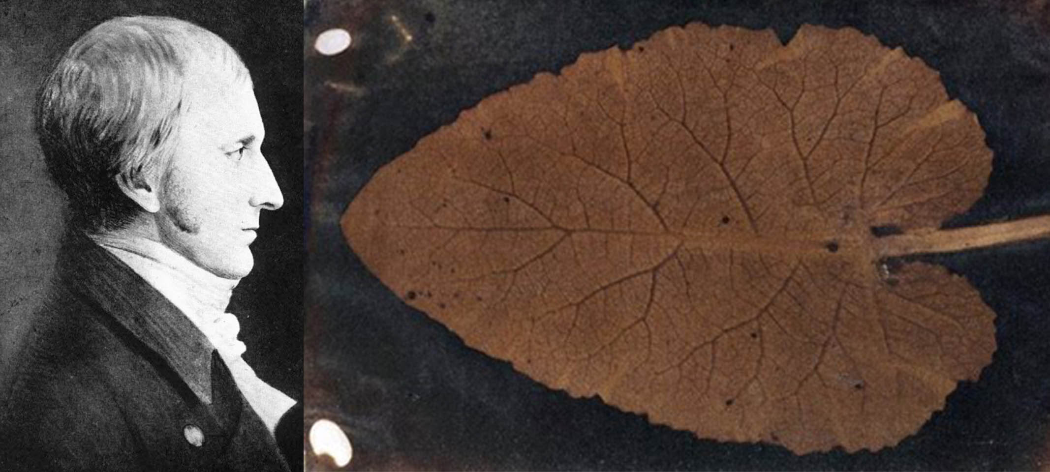 Thomas Wedgwood La Influencia Temprana en la Fotografía