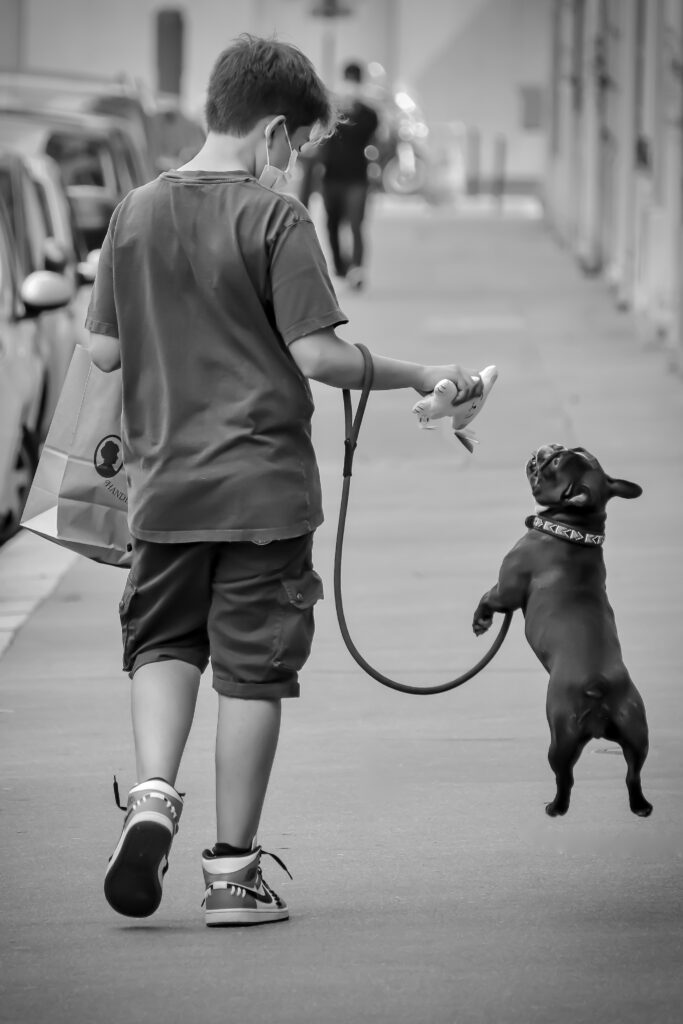 Perro saltando con niño - © María Camila Morales | Pawsing Dog Photography