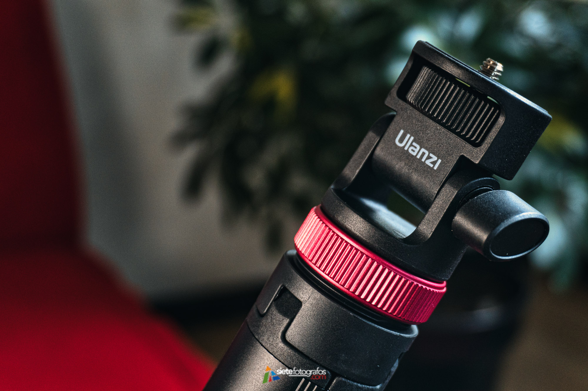 William Henry Fox Talbot: El Inventor del Calotipo